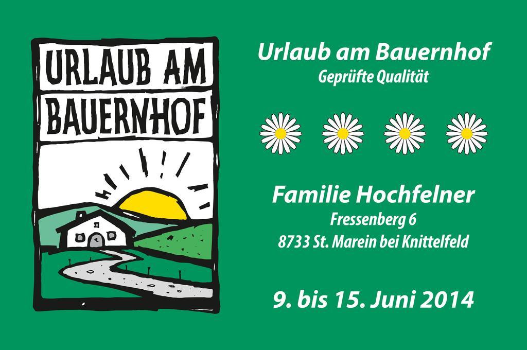 Ferienhaus Hochfelner Sankt Marein bei Knittelfeld Esterno foto