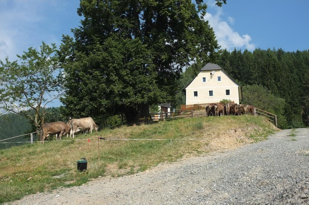 Ferienhaus Hochfelner Sankt Marein bei Knittelfeld Camera foto